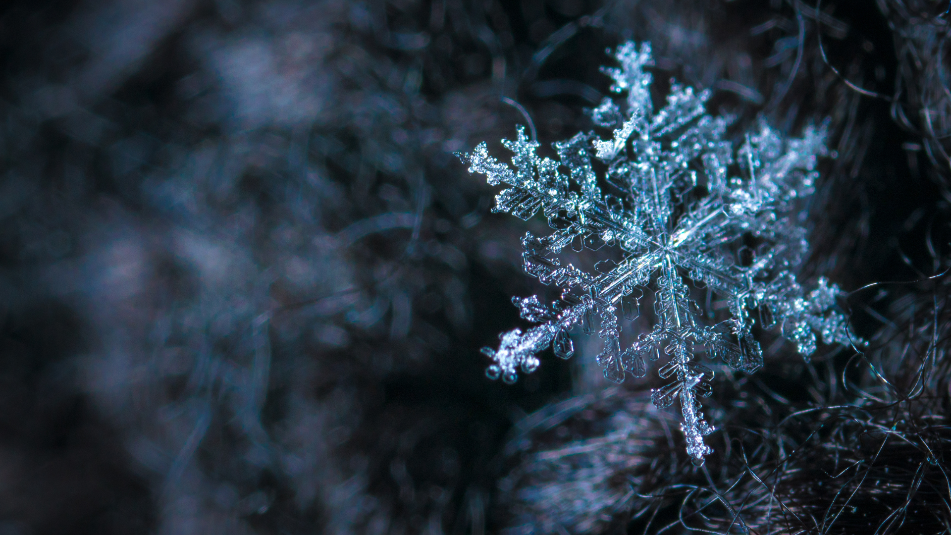 Come conservare correttamente gli pneumatici estivi durante l’inverno