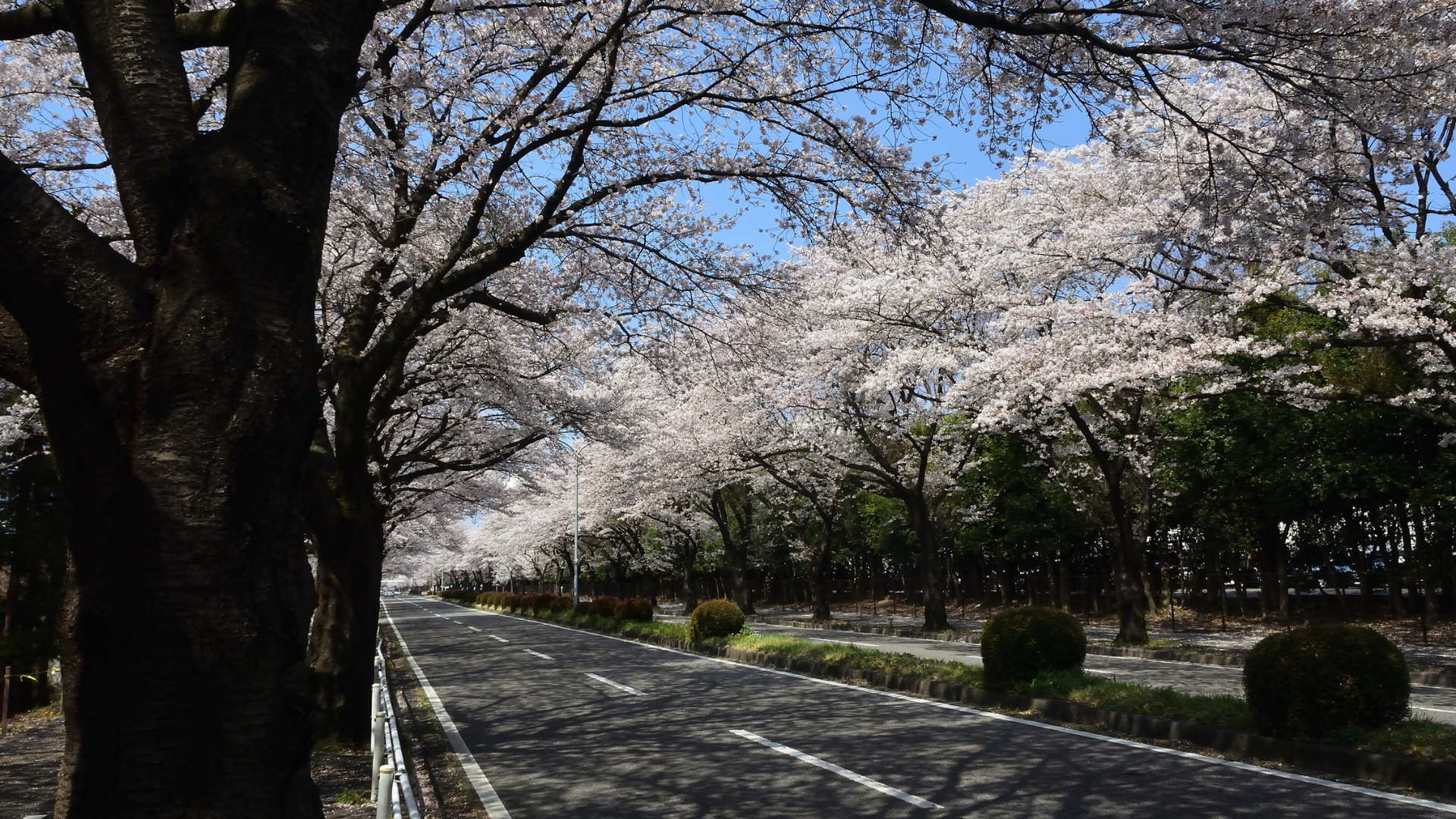CONTROLLO FINALE PRIMA DI PRIMAVERA: LISTA DI CONTROLLO COMPLETA DEI PNEUMATICI